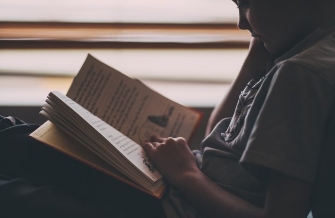 Purr-Fect Companions: Program Pairs Cats With Kids Learning to Read