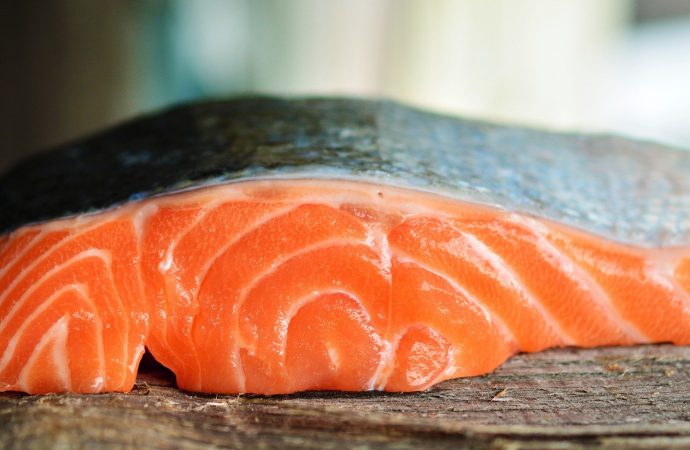 Genetically engineered salmon approved for consumption