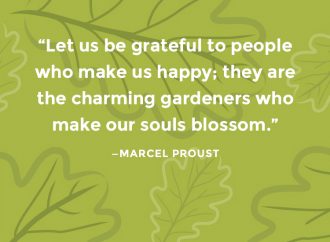 Happy Thanksgiving!