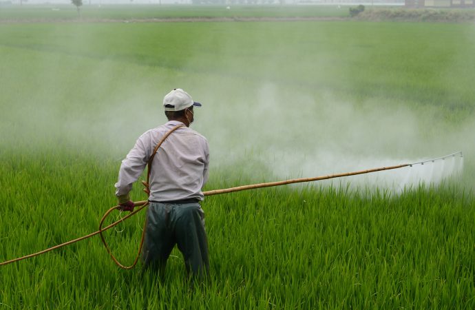 Appeals court orders EPA to ban sales of widely-used farm pesticide chlorpyrifos