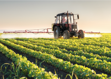 Bayer’s $2 billion Roundup damages boost pressure to settle