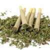 Marijuana damages young brains