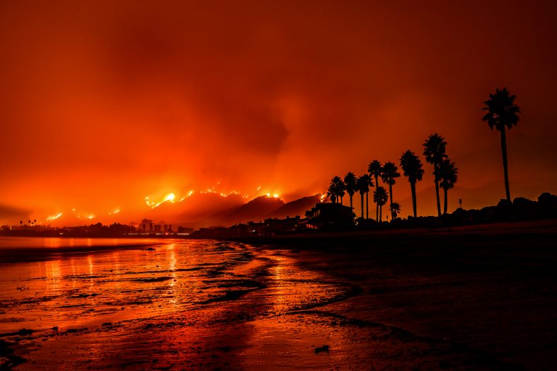 The ash left behind by the Los Angeles wildfires might be toxic, experts warn
